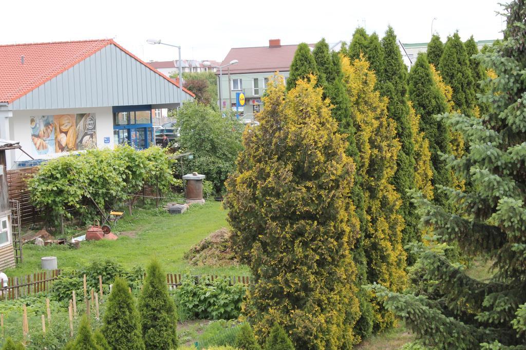 Apartament U Marzenki アウグストゥフ エクステリア 写真